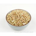 Buckwheat Like Rice